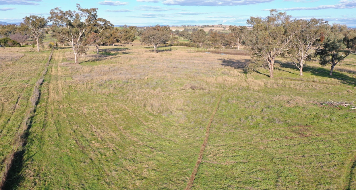 Lot 5 Warral-Bithramere Road, Tamworth, NSW, 2340 - Image 11