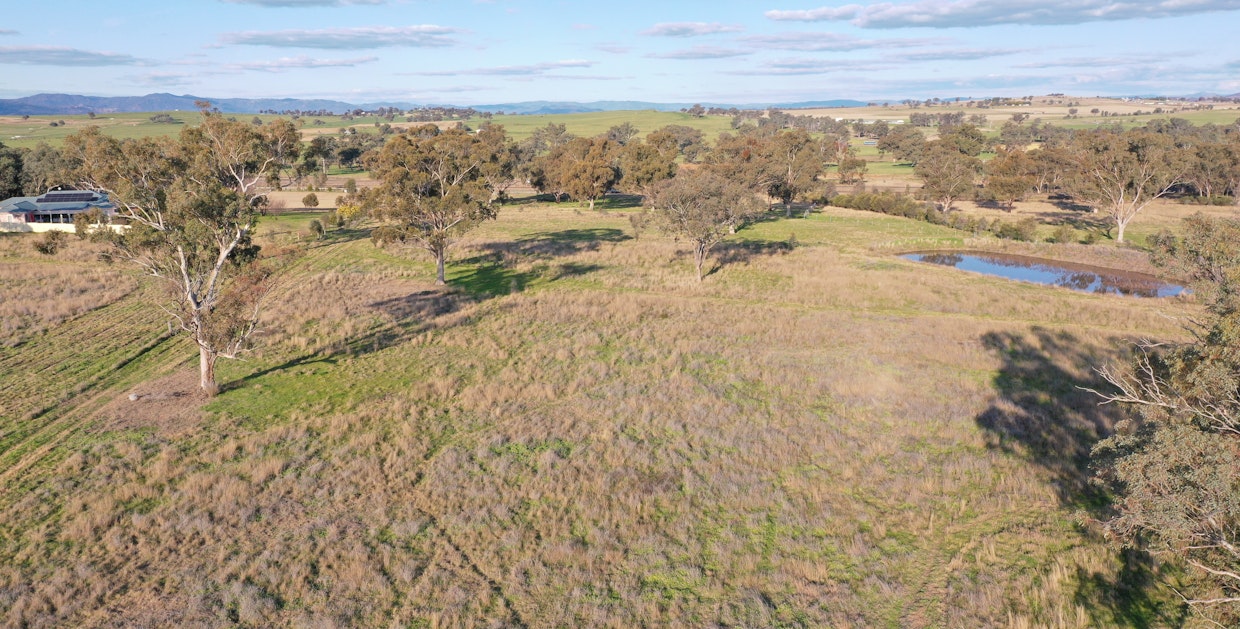 Lot 5 Warral-Bithramere Road, Tamworth, NSW, 2340 - Image 12