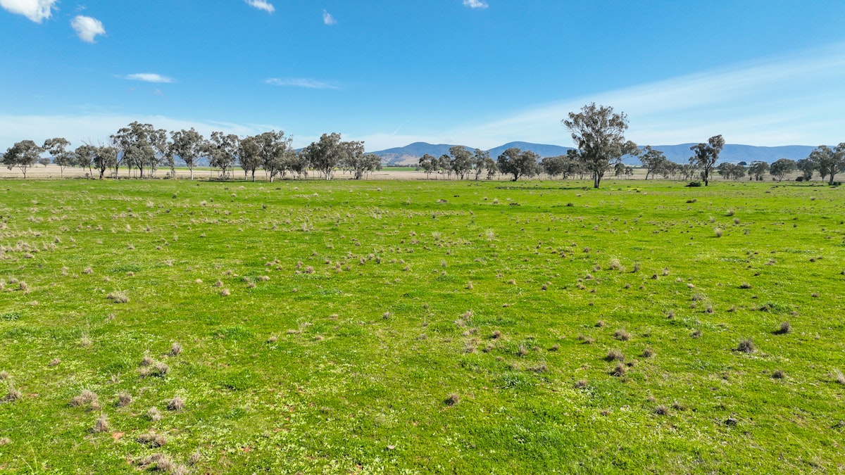 1174 New Winton Road, Tamworth, NSW, 2340 - Image 1