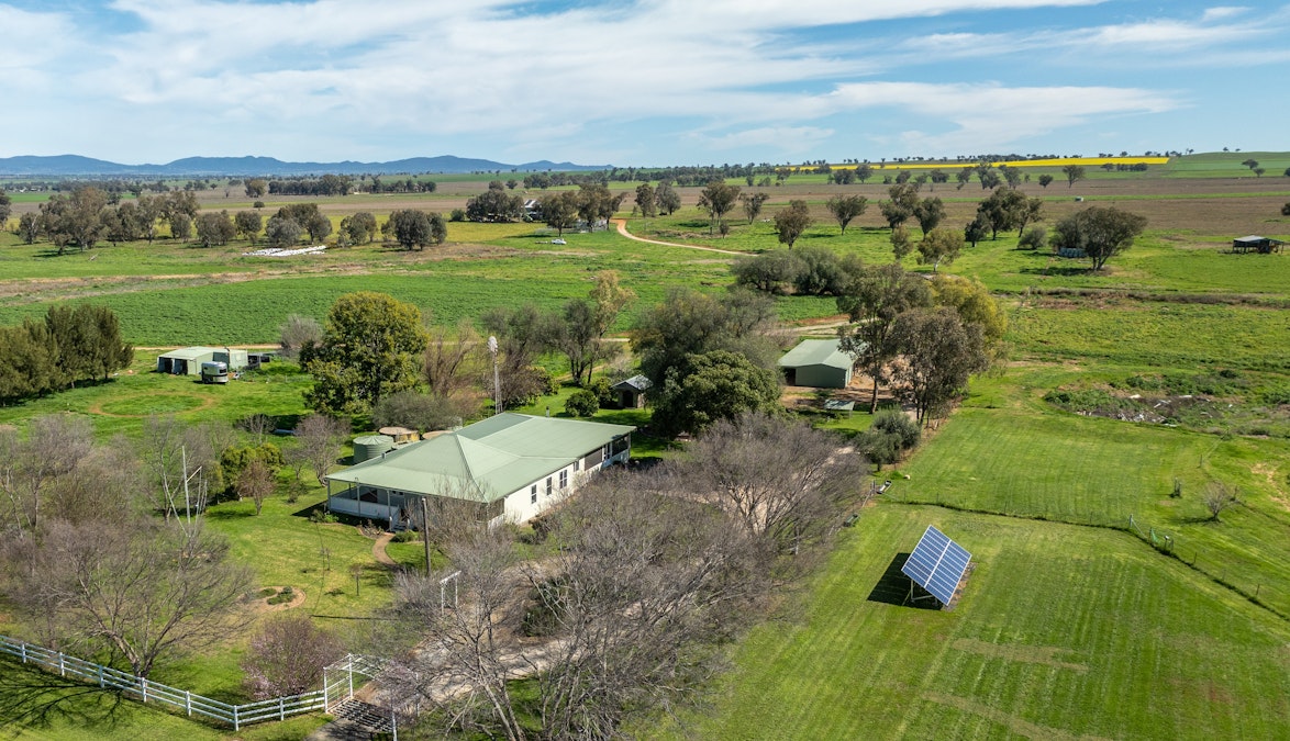 88 Lower Somerton Road, Attunga, NSW, 2345 - Image 3