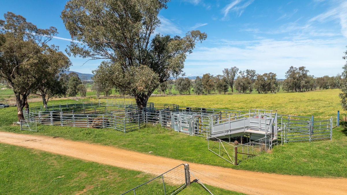 88 Lower Somerton Road, Attunga, NSW, 2345 - Image 18