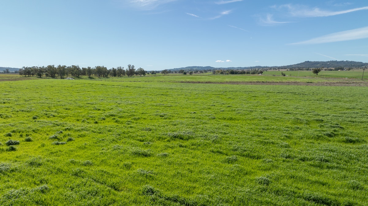 88 Lower Somerton Road, Attunga, NSW, 2345 - Image 26