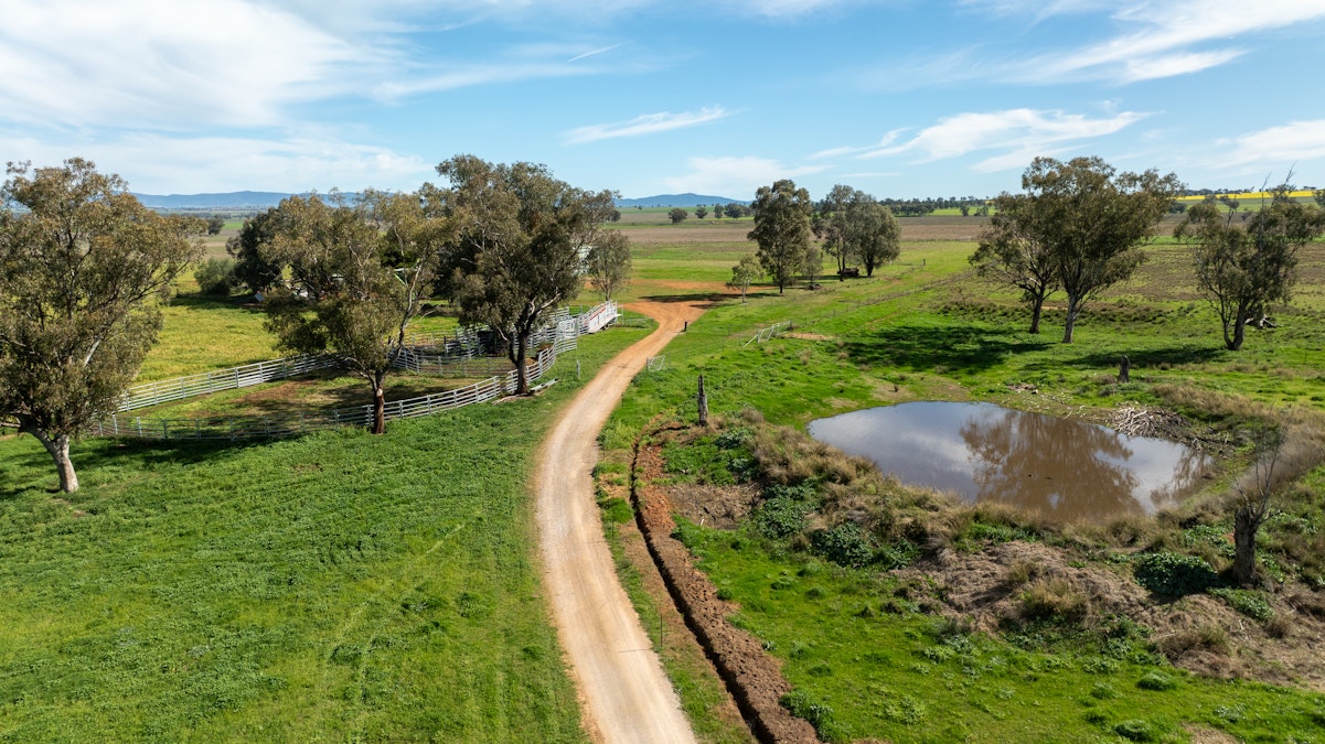 88 Lower Somerton Road, Attunga, NSW, 2345 - Image 27