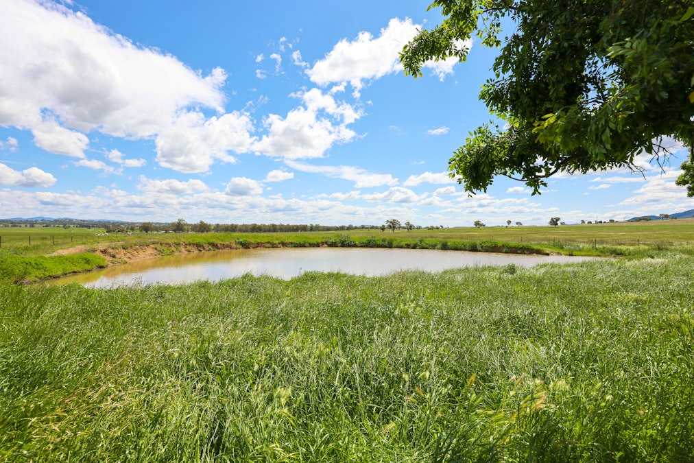 ' Ascot ', Tamworth, NSW, 2340 - Image 17