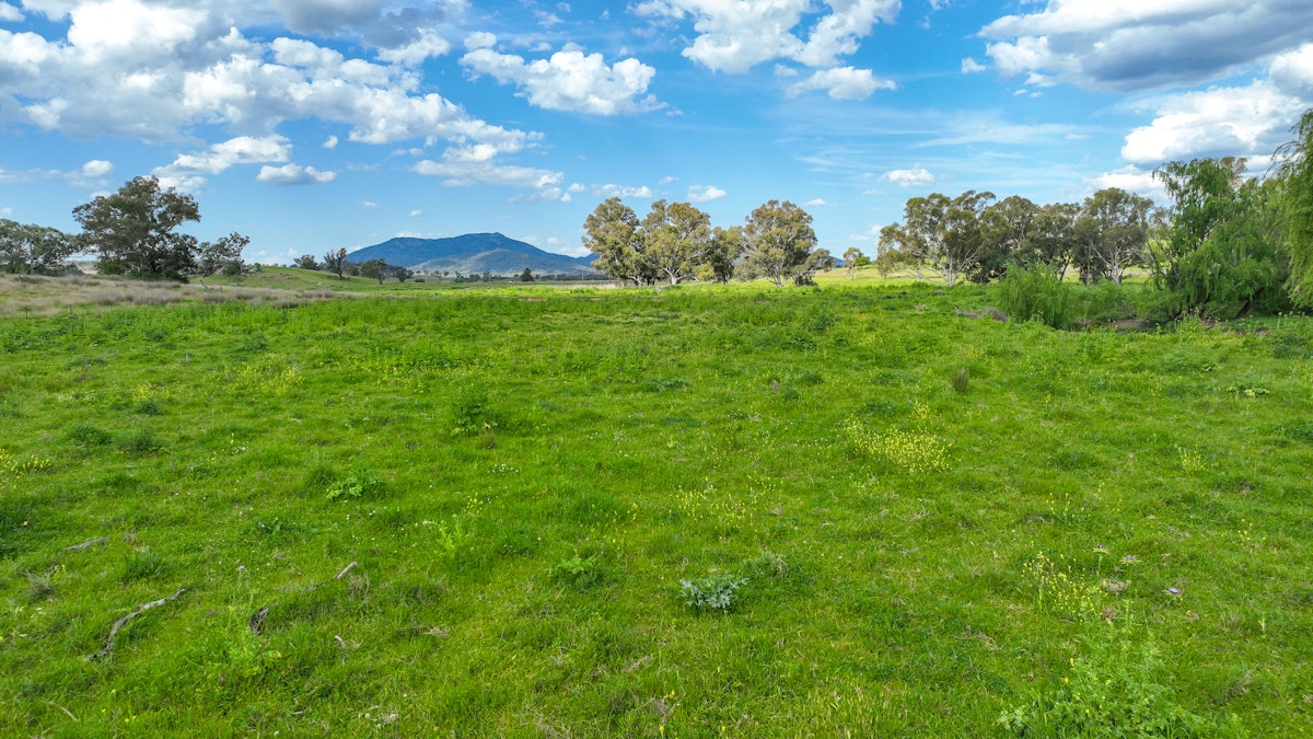 457 Gap Road, Werris Creek, NSW, 2341 - Image 16