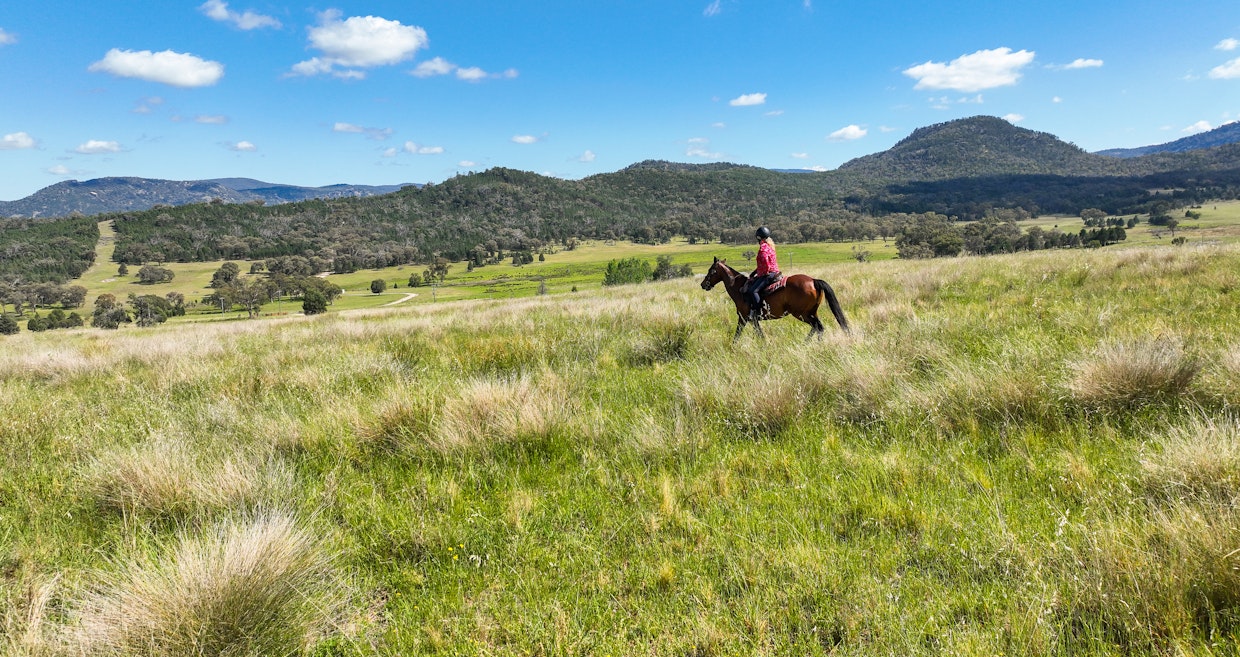 403 Woonooka Road, Tamworth, NSW, 2340 - Image 32