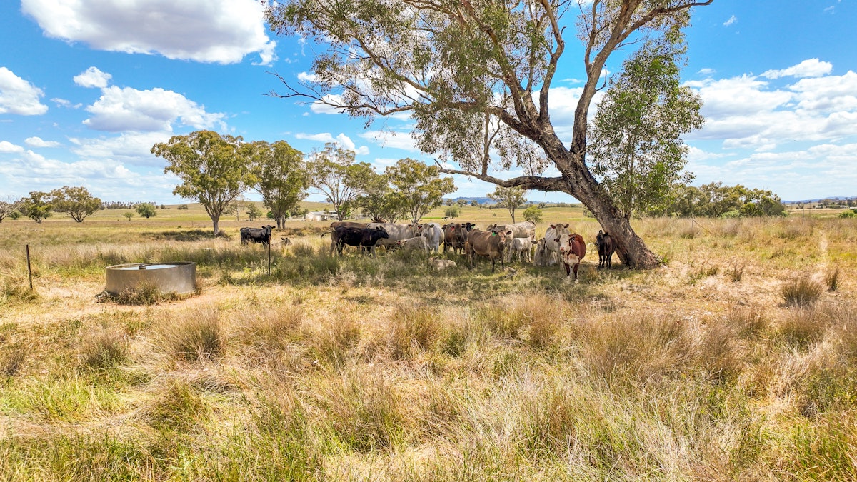 88 Rushes Creek Road, Manilla, NSW, 2346 - Image 24