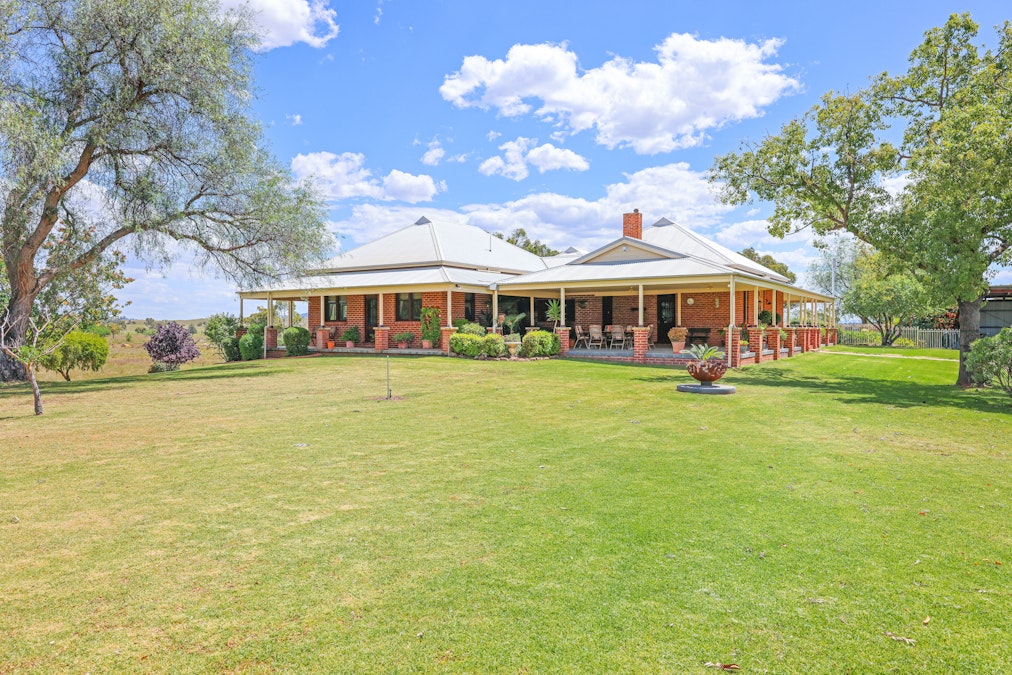 88 Rushes Creek Road, Manilla, NSW, 2346 - Image 2