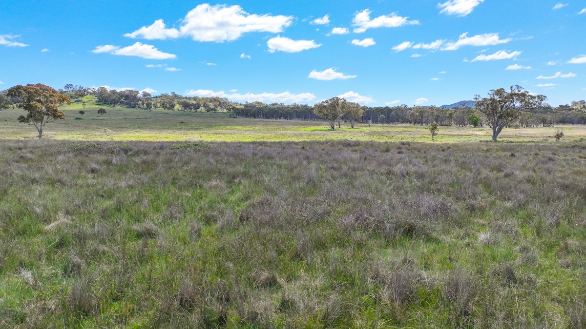 380 Green Valley Road, Bendemeer, NSW, 2355 - Image 30