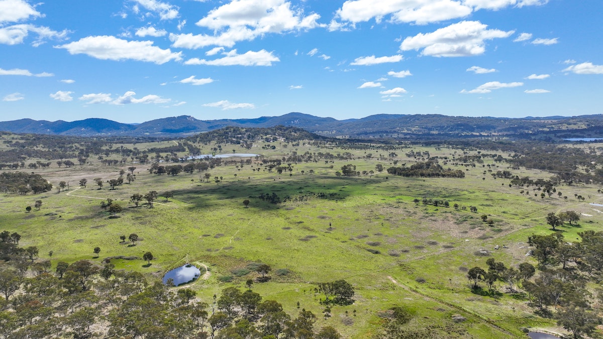 380 Green Valley Road, Bendemeer, NSW, 2355 - Image 31