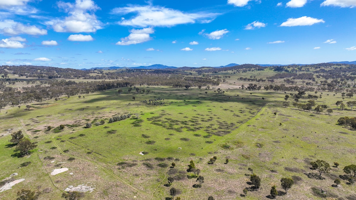 380 Green Valley Road, Bendemeer, NSW, 2355 - Image 32