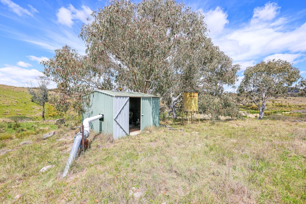 380 Green Valley Road, Bendemeer, NSW, 2355 - Image 19