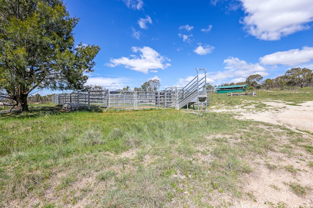 380 Green Valley Road, Bendemeer, NSW, 2355 - Image 22