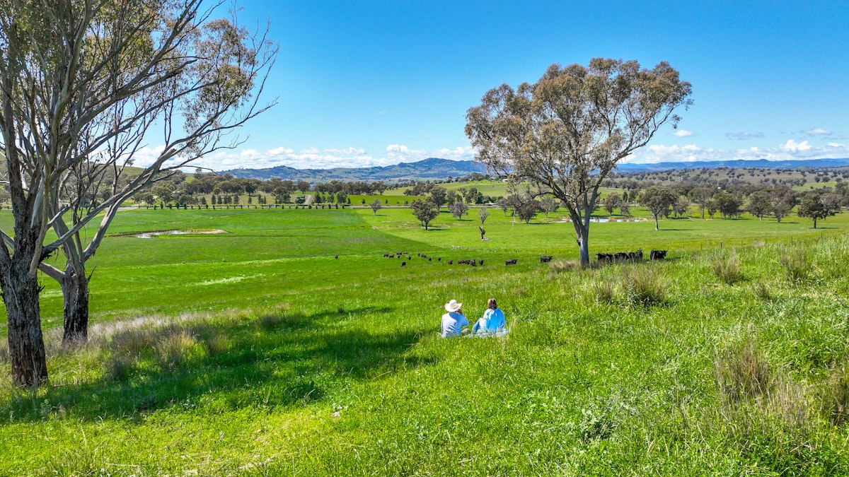 13669 New England Highway, Tamworth, NSW, 2340 - Image 3