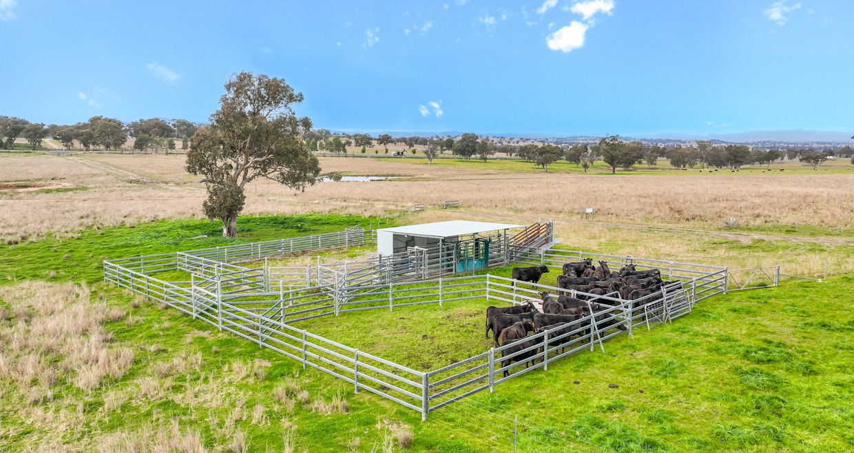 13669 New England Highway, Tamworth, NSW, 2340 - Image 11