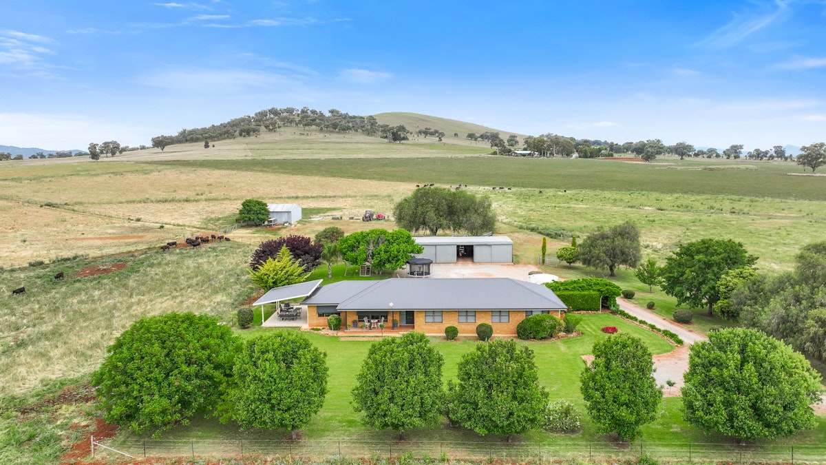 13886 New England Highway, Tamworth, NSW, 2340 - Image 1