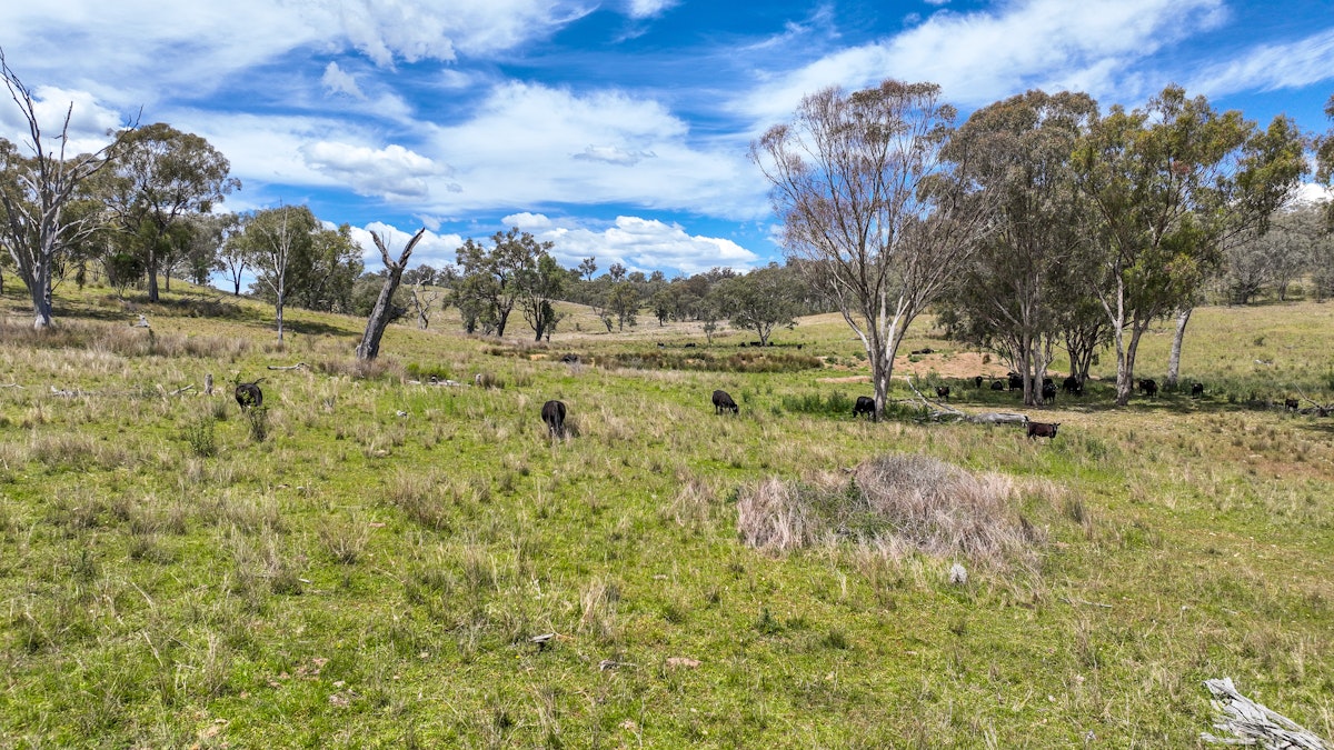 669 Linton Road, Barraba, NSW, 2347 - Image 16