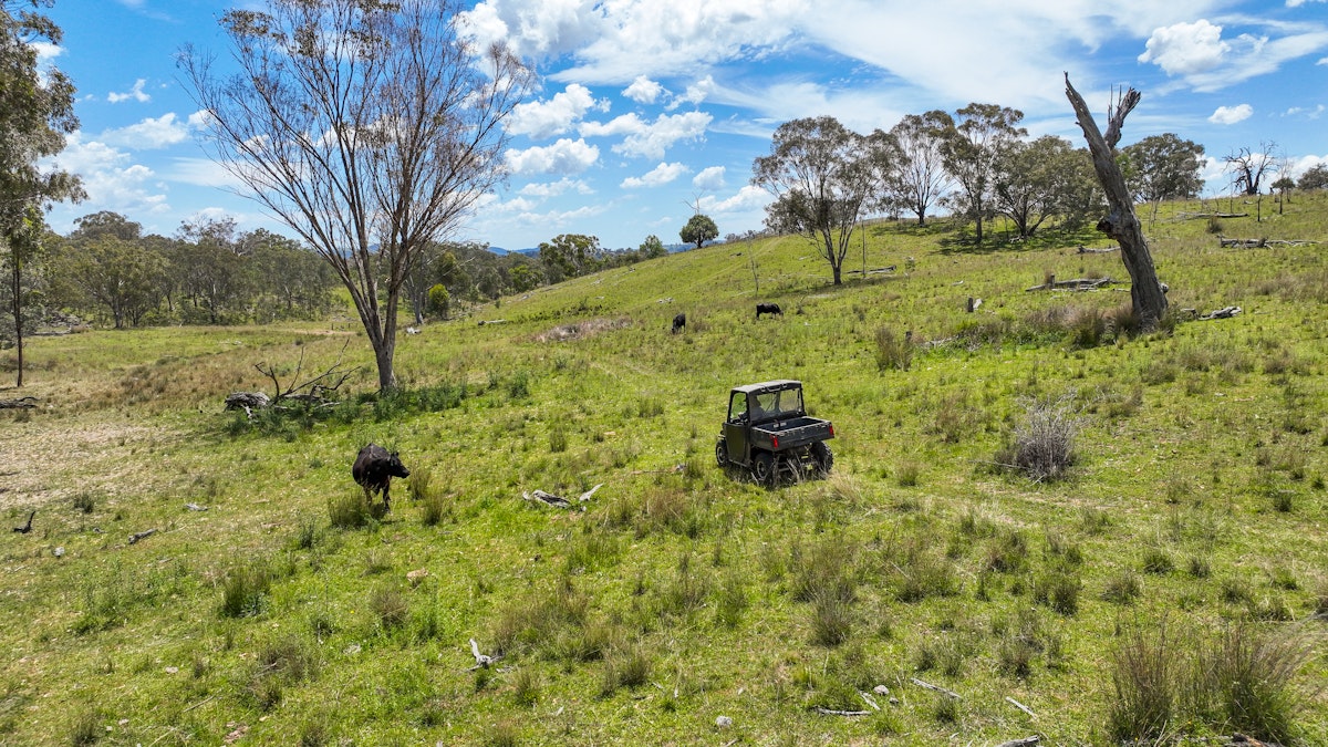 669 Linton Road, Barraba, NSW, 2347 - Image 19