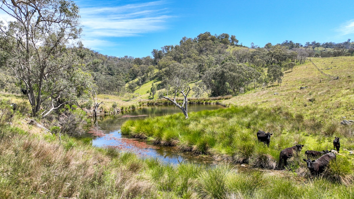 669 Linton Road, Barraba, NSW, 2347 - Image 20