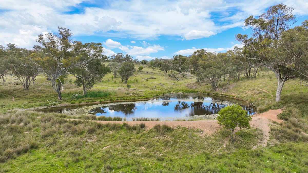 669 Linton Road, Barraba, NSW, 2347 - Image 22