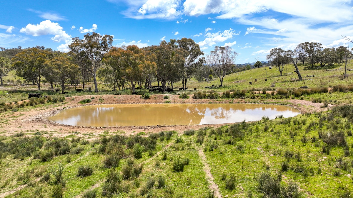 669 Linton Road, Barraba, NSW, 2347 - Image 23