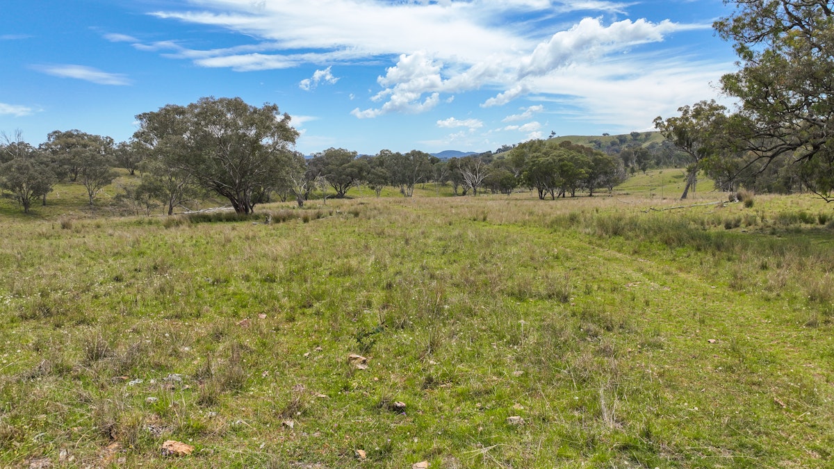 669 Linton Road, Barraba, NSW, 2347 - Image 26