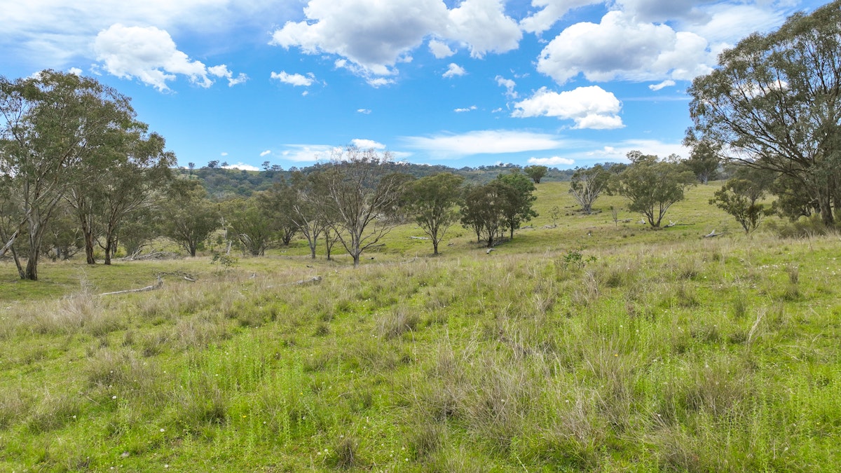 669 Linton Road, Barraba, NSW, 2347 - Image 28