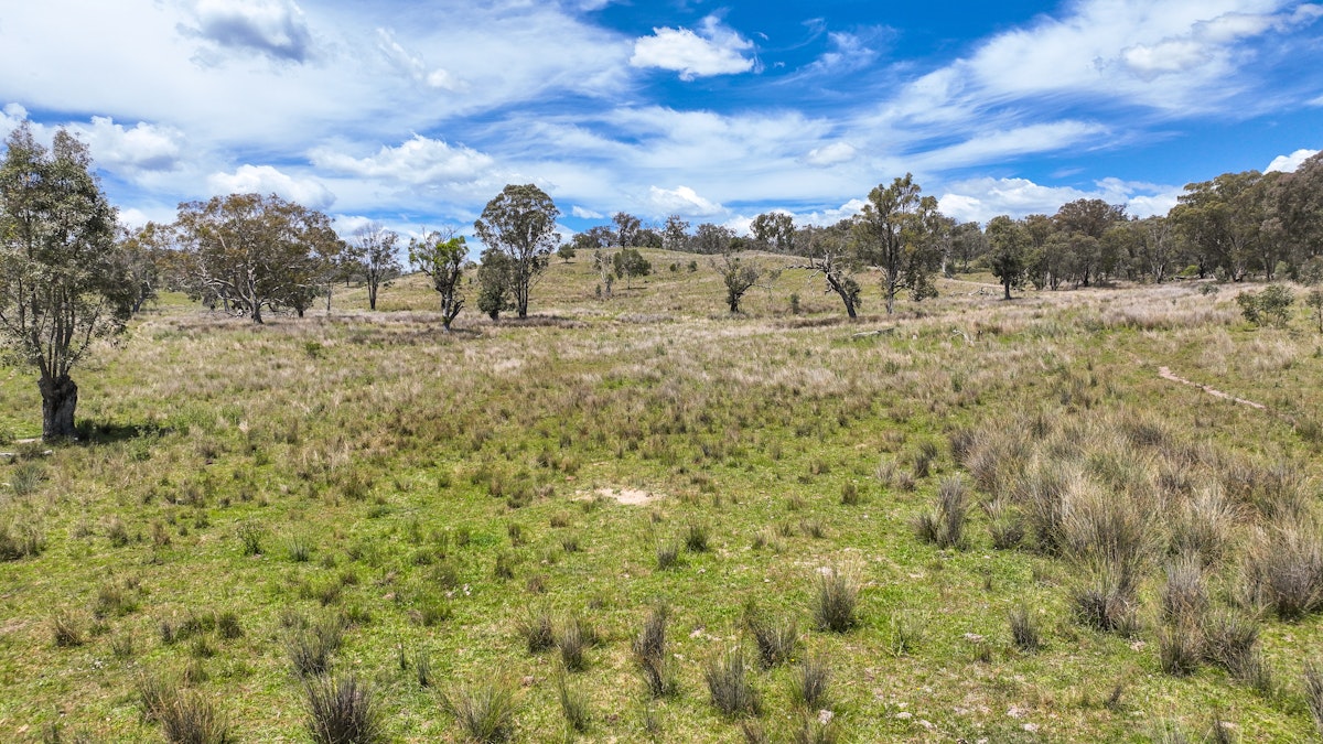 669 Linton Road, Barraba, NSW, 2347 - Image 29