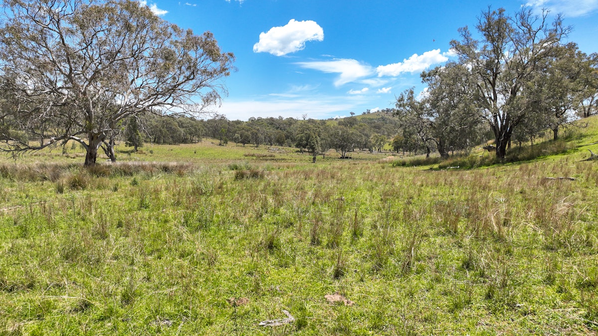 669 Linton Road, Barraba, NSW, 2347 - Image 30