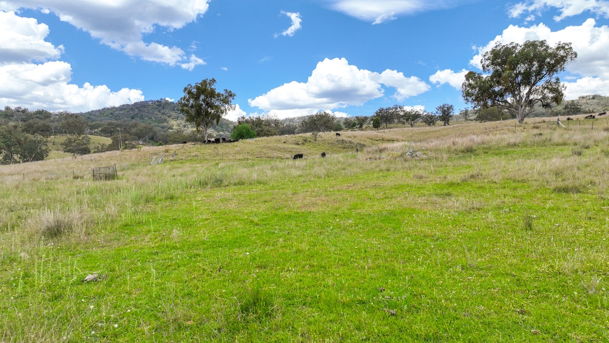 669 Linton Road, Barraba, NSW, 2347 - Image 32