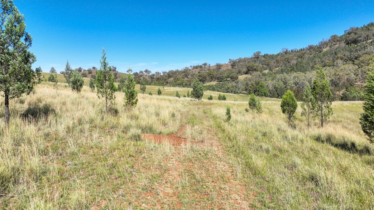 477 Limbri Road, Tamworth, NSW, 2340 - Image 22