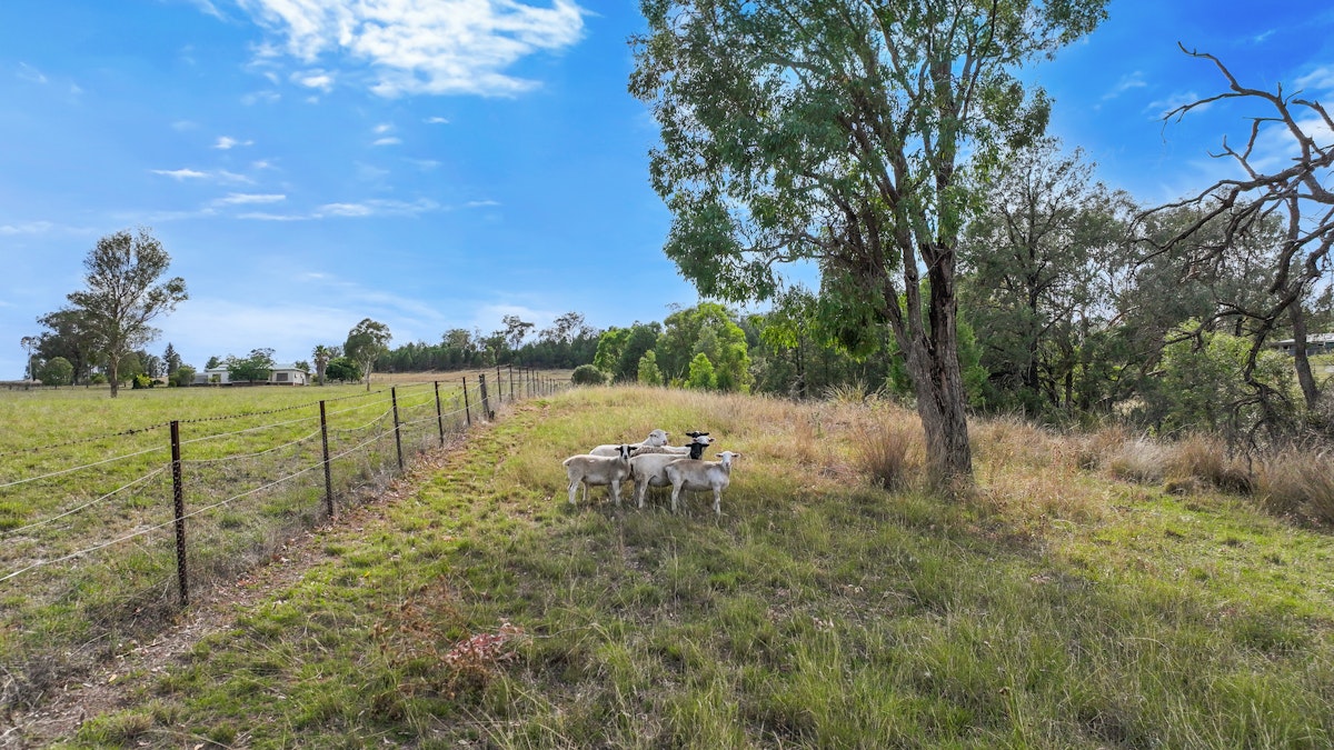 766 Manilla Road, Tamworth, NSW, 2340 - Image 20