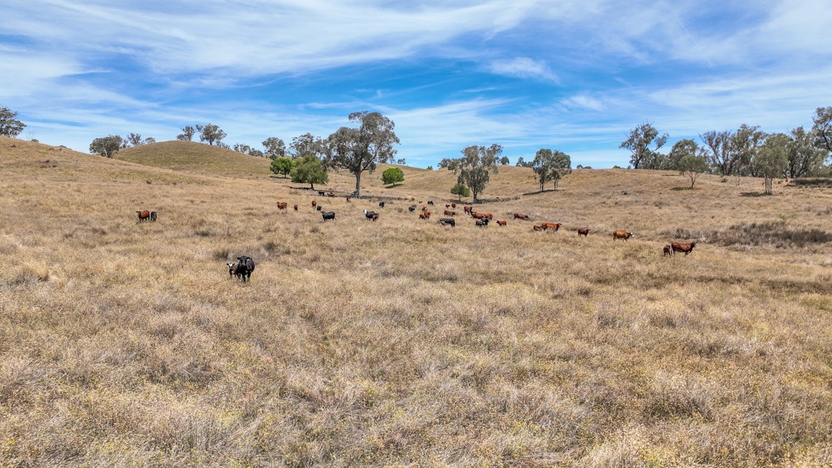 2182 Yarramanbully Road, Tamworth, NSW, 2340 - Image 3