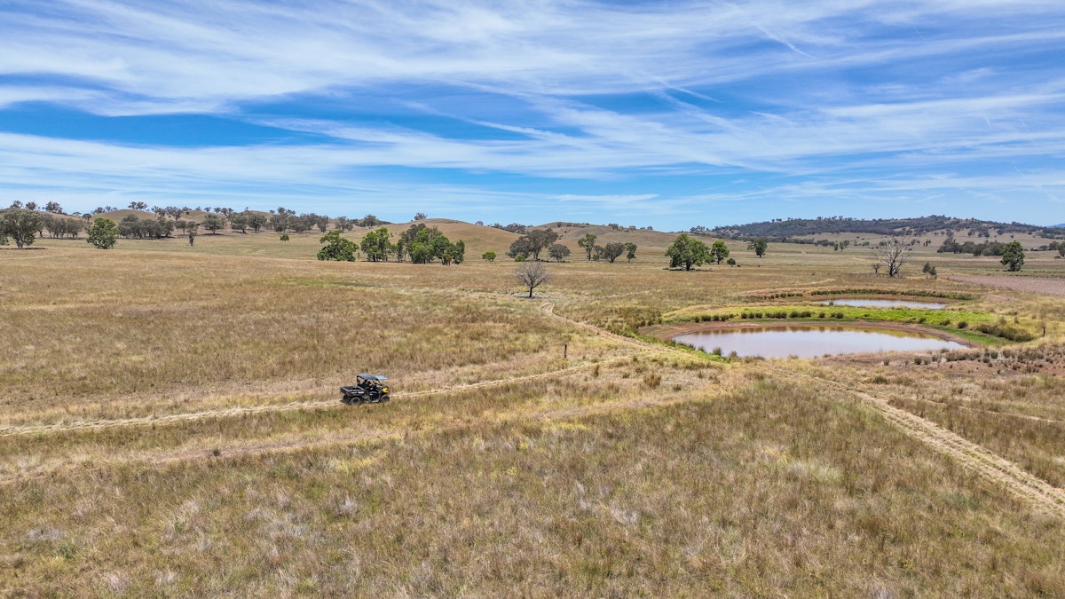 2182 Yarramanbully Road, Tamworth, NSW, 2340 - Image 4