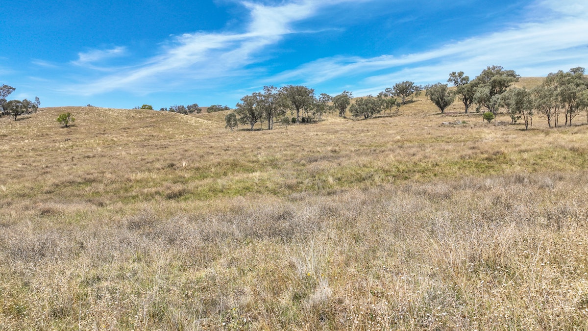 2182 Yarramanbully Road, Tamworth, NSW, 2340 - Image 9