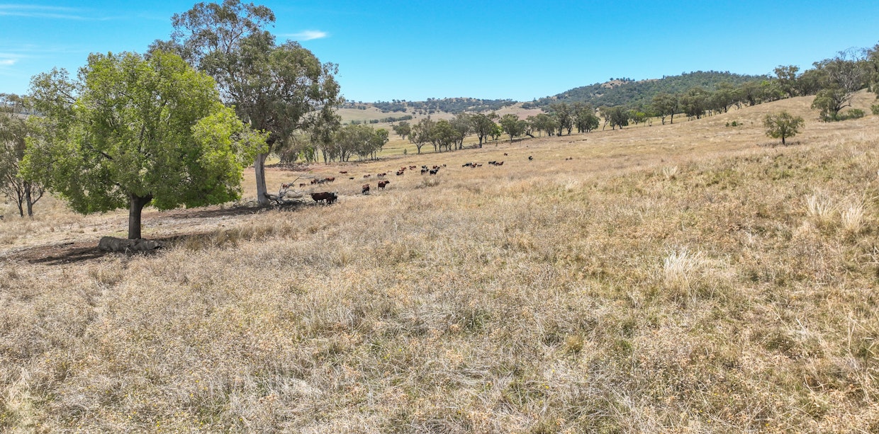 2182 Yarramanbully Road, Tamworth, NSW, 2340 - Image 10