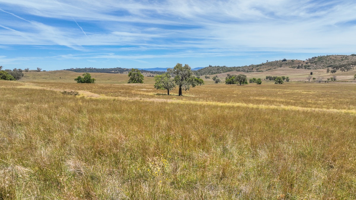 2182 Yarramanbully Road, Tamworth, NSW, 2340 - Image 11