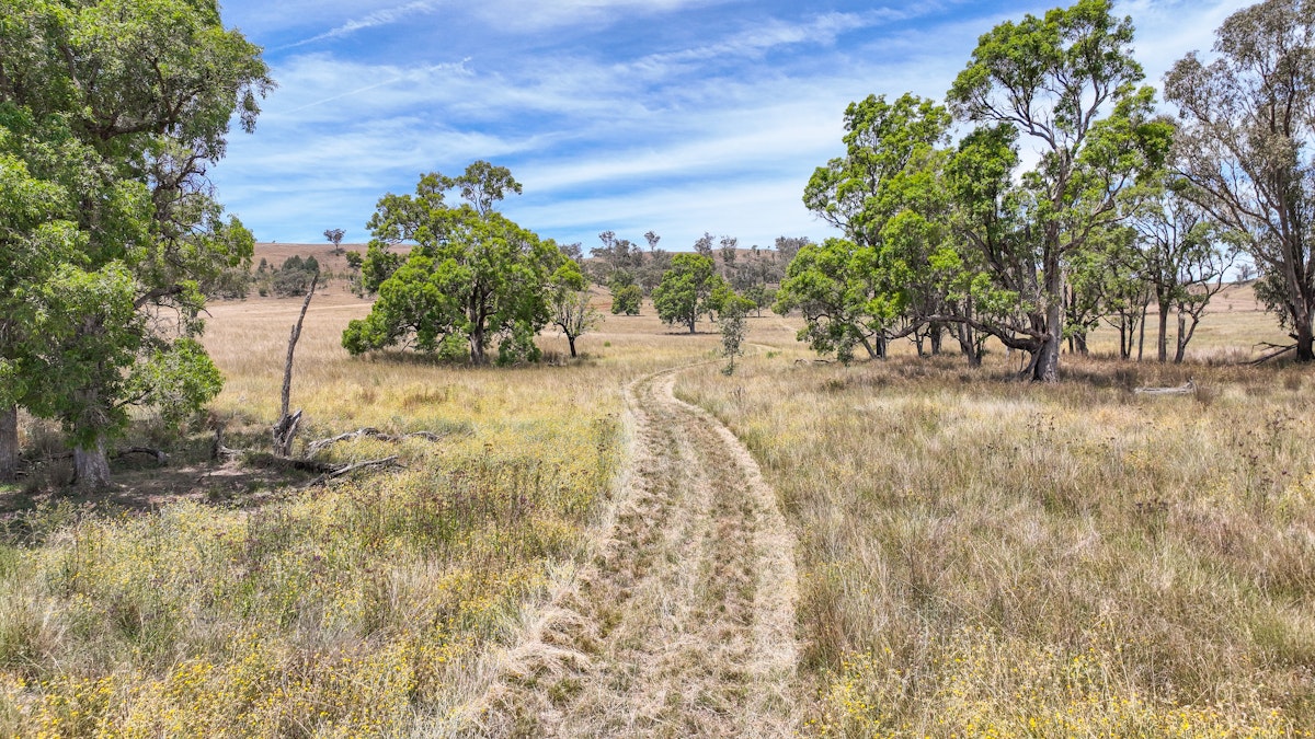 2182 Yarramanbully Road, Tamworth, NSW, 2340 - Image 12