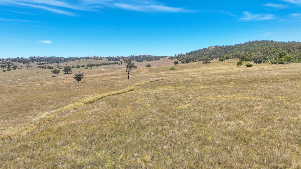 2182 Yarramanbully Road, Tamworth, NSW, 2340 - Image 13