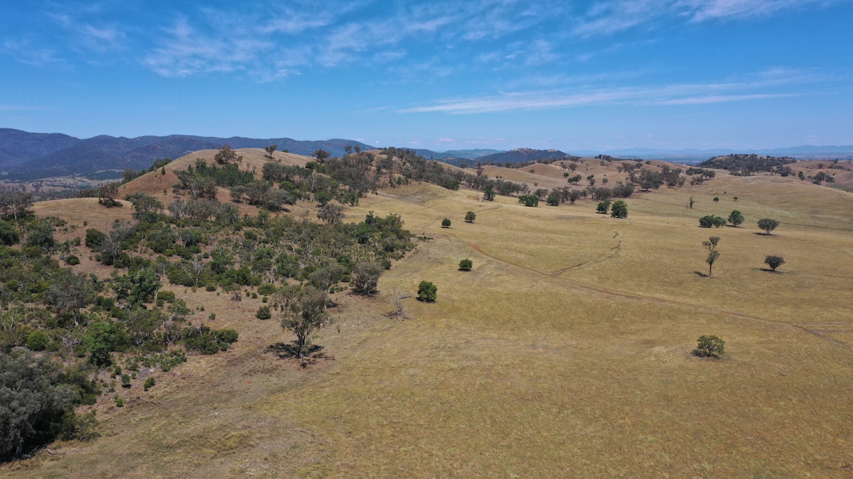 2182 Yarramanbully Road, Tamworth, NSW, 2340 - Image 16