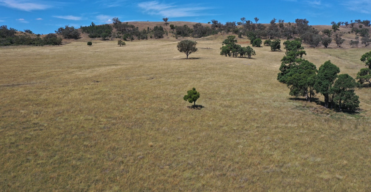 2182 Yarramanbully Road, Tamworth, NSW, 2340 - Image 21