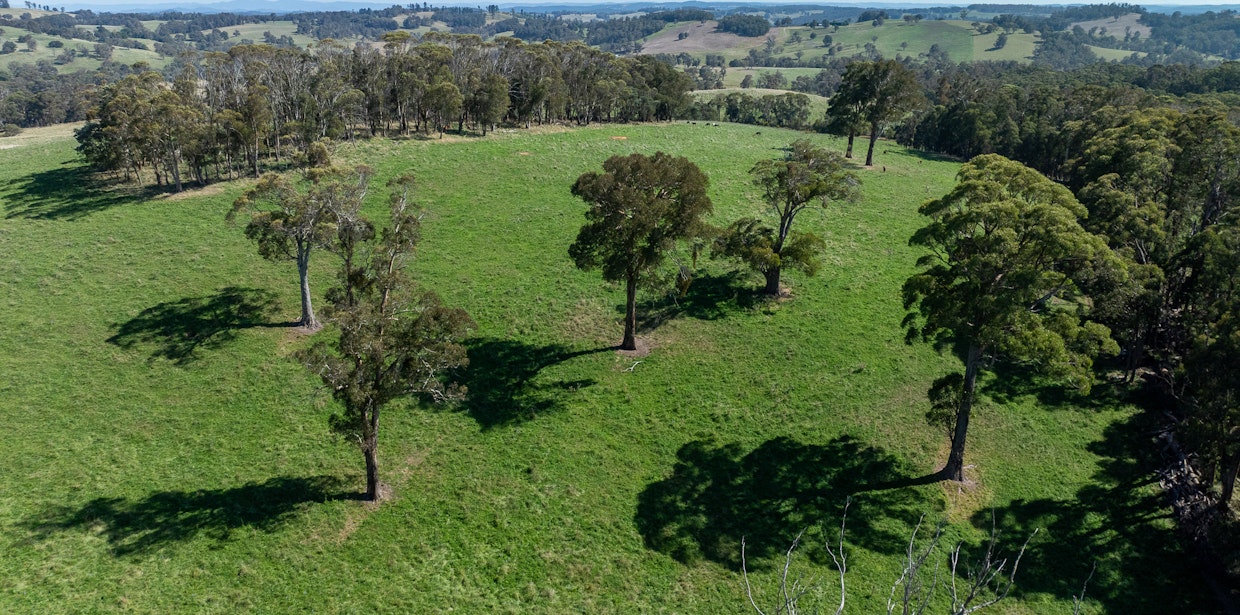 1853 Nowendoc Road, Niangala, NSW, 2354 - Image 9