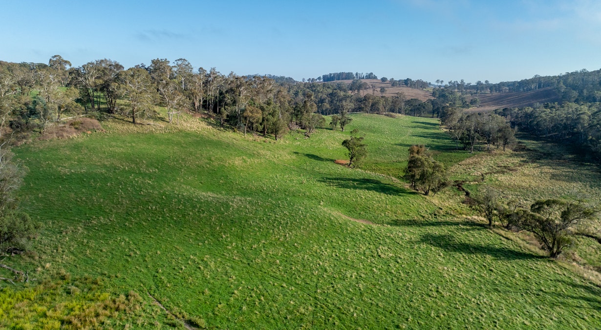 1853 Nowendoc Road, Niangala, NSW, 2354 - Image 10