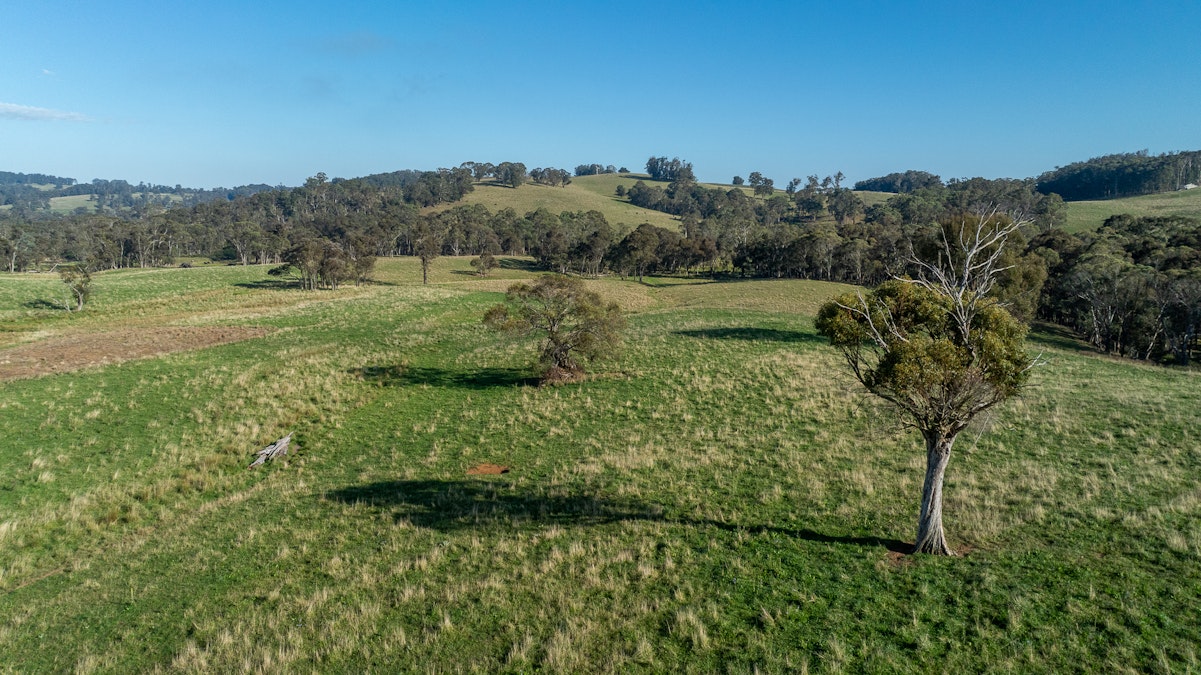 1853 Nowendoc Road, Niangala, NSW, 2354 - Image 16