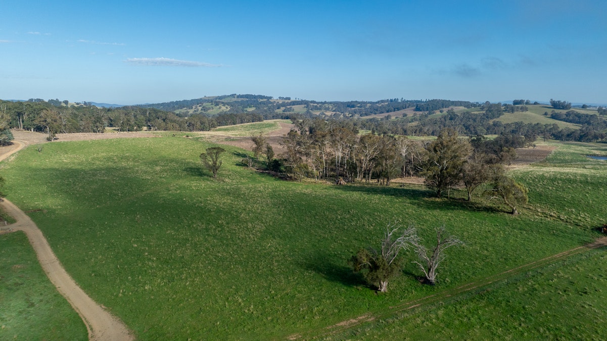 1853 Nowendoc Road, Niangala, NSW, 2354 - Image 17