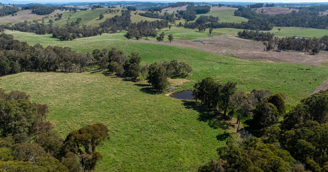 1853 Nowendoc Road, Niangala, NSW, 2354 - Image 20