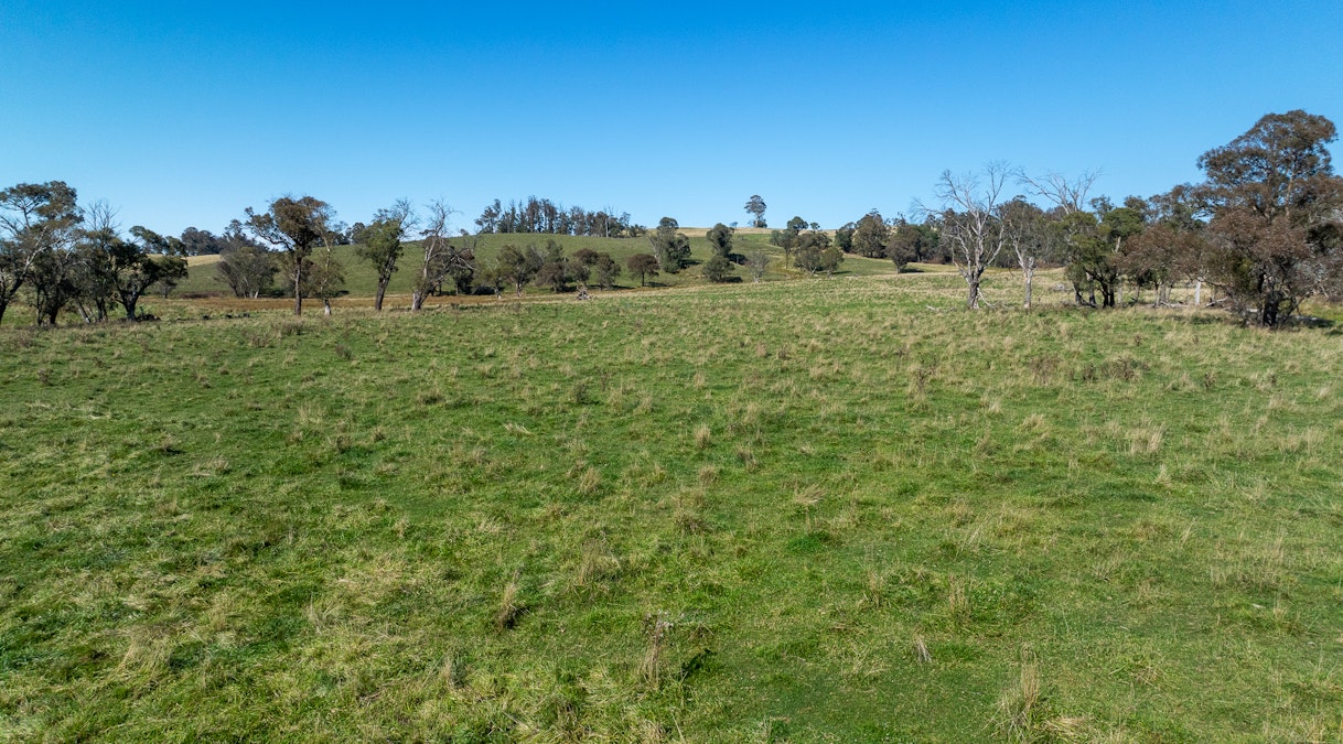 1853 Nowendoc Road, Niangala, NSW, 2354 - Image 21