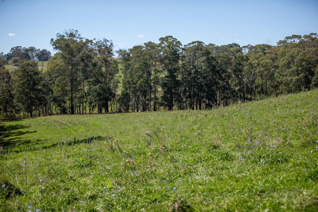 1853 Nowendoc Road, Niangala, NSW, 2354 - Image 22