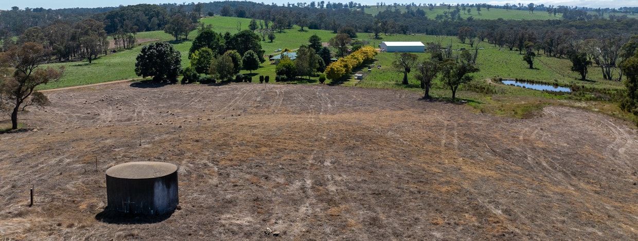 1853 Nowendoc Road, Niangala, NSW, 2354 - Image 23