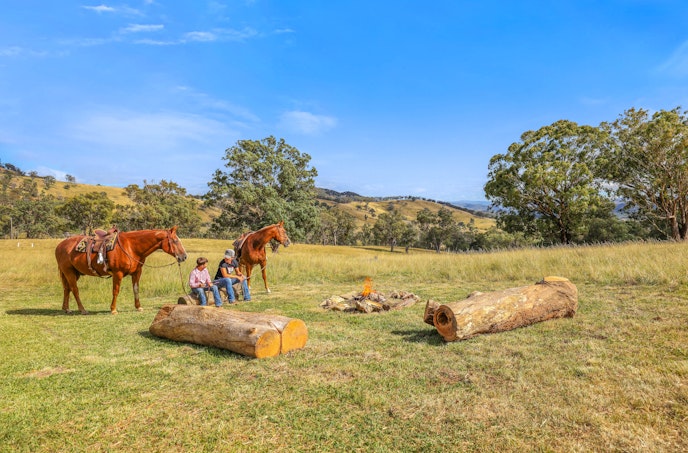 830 Weabonga Road, Weabonga, NSW, 2340 - Image 1